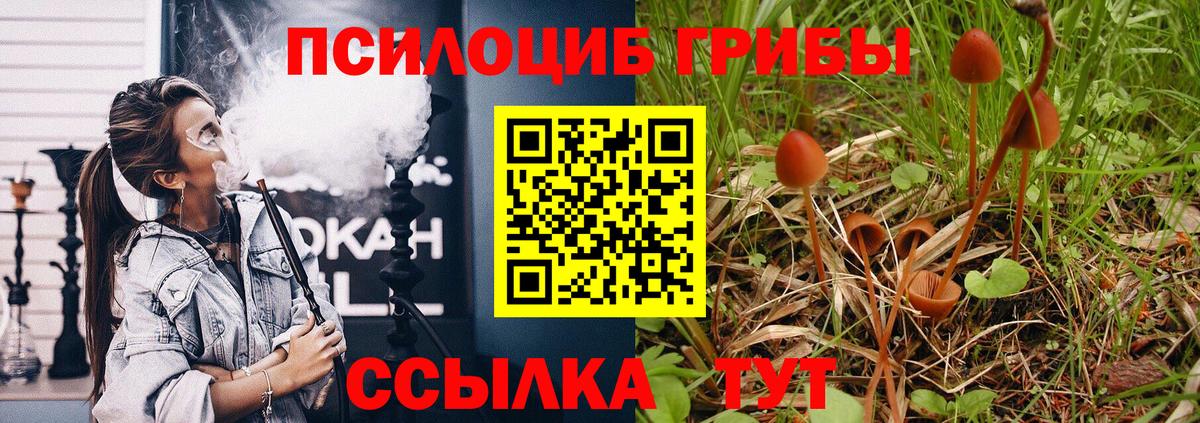 Псилоцибиновые грибы Magic Shrooms  Псилоцибиновые грибы прущие грибы  Гудермес  Вход с VPN 